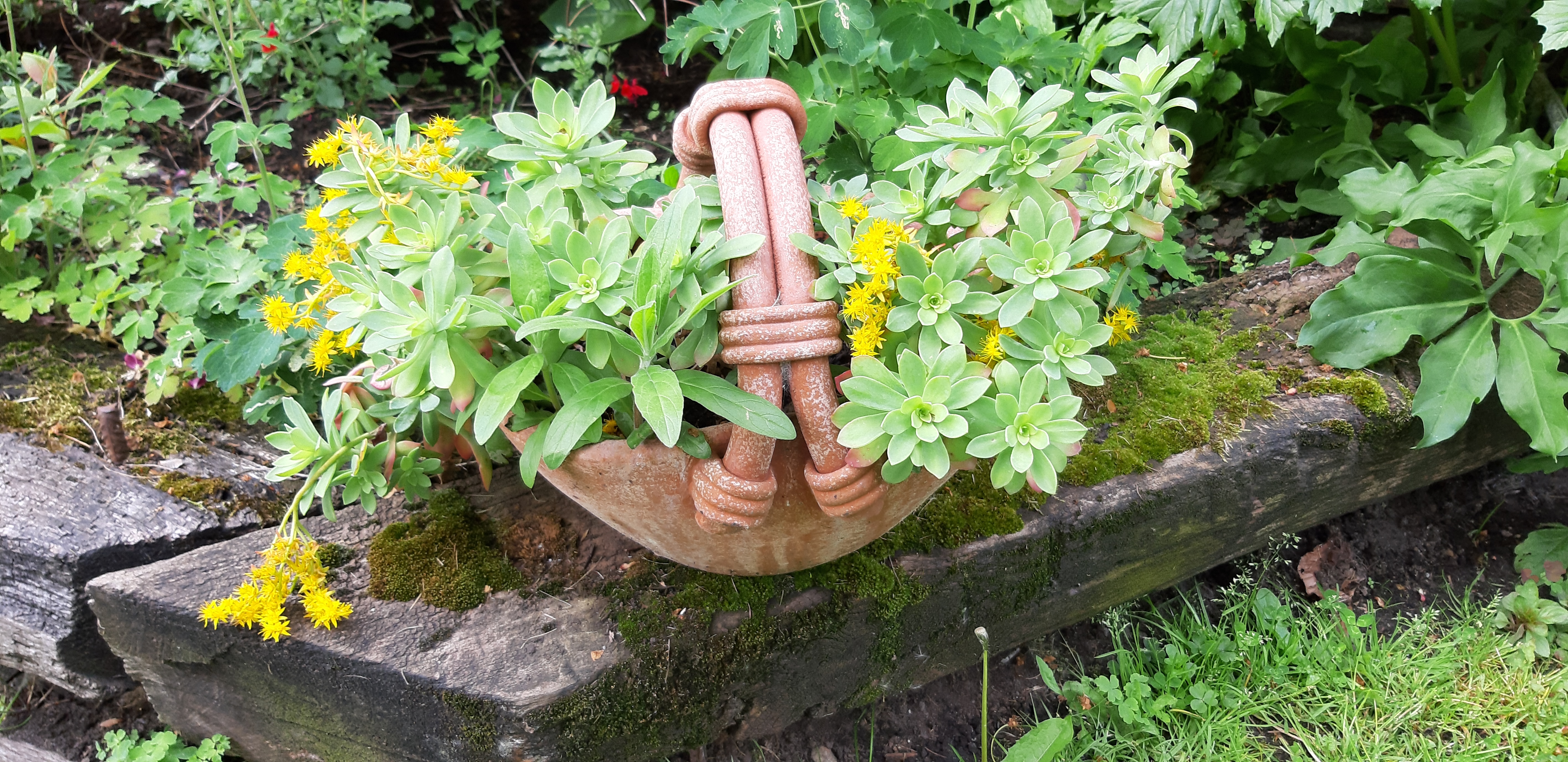 Terracotta pot 4